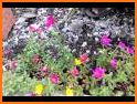 Garden Plan - Flower Planting Puzzle related image