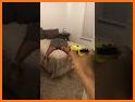 Stun Gun Prank - Shock Taser related image