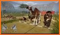 Animal Rush - Rush hour animals racing game related image