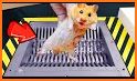 Hamster VPN related image