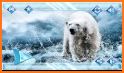 Polar bear survival simulator related image