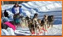 The Musher related image