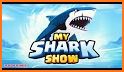 My Shark Show related image