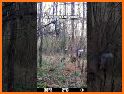 Wild Deer Hunt: Animal Hunting related image