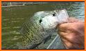 TipTop Fishing Forecast - find best fishing spots related image