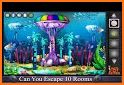 Escape Game - Fish Shop related image