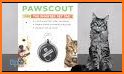 Pawscout related image