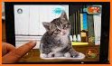 family pet cat simulator: simulation games related image