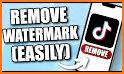 TikTok Downloader - Without Watermark related image