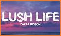 Life Rush related image