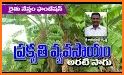 Rythunestham Organic/Natural Farming related image