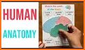 BodyQuest: Anatomy for kids related image