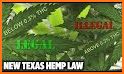 Hemp.im: The latest hemp and cannabis news. related image