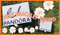 Pandoras Deals related image