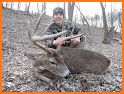 Archery Deer Hunting 2019 related image