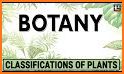 Biology & botany related image