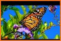 Aesthetic Wallpaper - Monarch Butterfly 3D related image