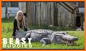 GatorCountry.com related image