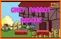 Grey Parrot Rescue related image