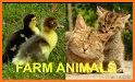 Animal Sounds For Kids And Babies No Ads related image