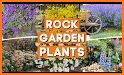 Rock Garden related image