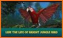 🐦 Wild Parrot Survival - jungle bird simulator! related image