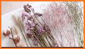 Beautiful Wallpaper Dried Flower Bouquet Theme related image