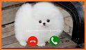 Animal Ringtones - Animal Wallpaper Bird Ringtones related image