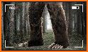 Finding Bigfoot: Monster Hunting Attack Simulator related image