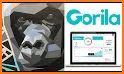 Gorila: gestão de investimento related image