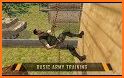 US Army Training School Game: Obstacle Course Race related image