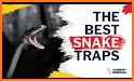 Trap the Snake related image