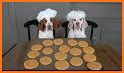 Cookie Fun Dog Fact related image