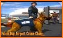 Crime Police Dog Chase Simulator related image