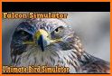 Falcon Simulator related image