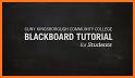 CUNYfirst Portal + Blackboard related image