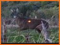 Deer Hunting 2019: African Deer Hunter related image