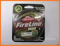 Fireline related image