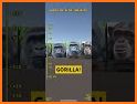 GORILLA SLOT INFINITY related image