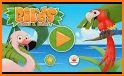 Bird Sounds Animal Kids Games - Puzzle & Coloring related image