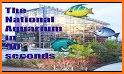 National Aquarium related image