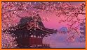 Hanami Live Wallpaper related image