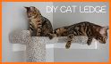 Cat Condo Ideas related image