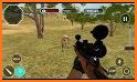 Animal Hunting: Safari 4x4 armed action shooter related image