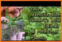 Edible and Medicinal Plants - Offline Plant Guide related image