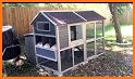 Chicken Coop related image