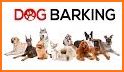 Dog Barking Sounds and Noises related image