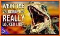 Velociraptor related image