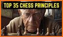 Chess Tactics 1 Pro related image