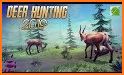 Deer Hunting Game 2019 related image